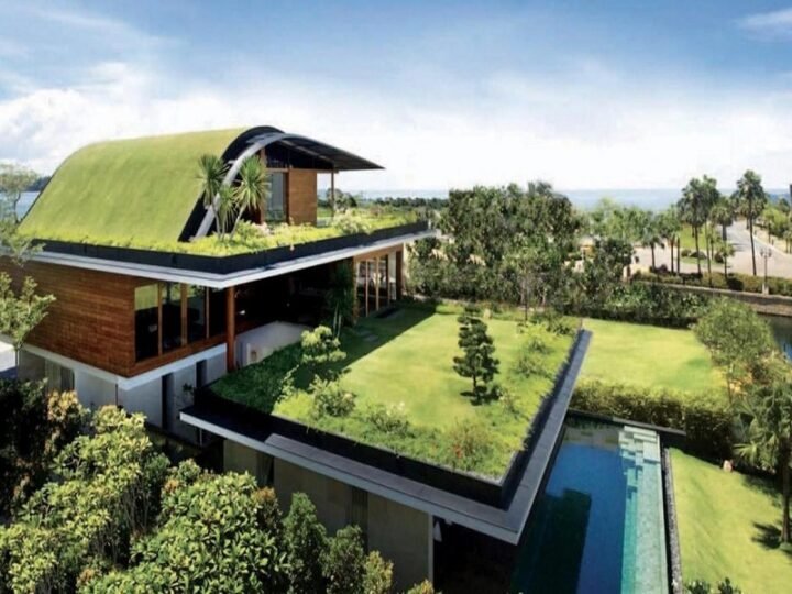 Role Of An Architects In Designing Eco – Friendly Spaces 2026